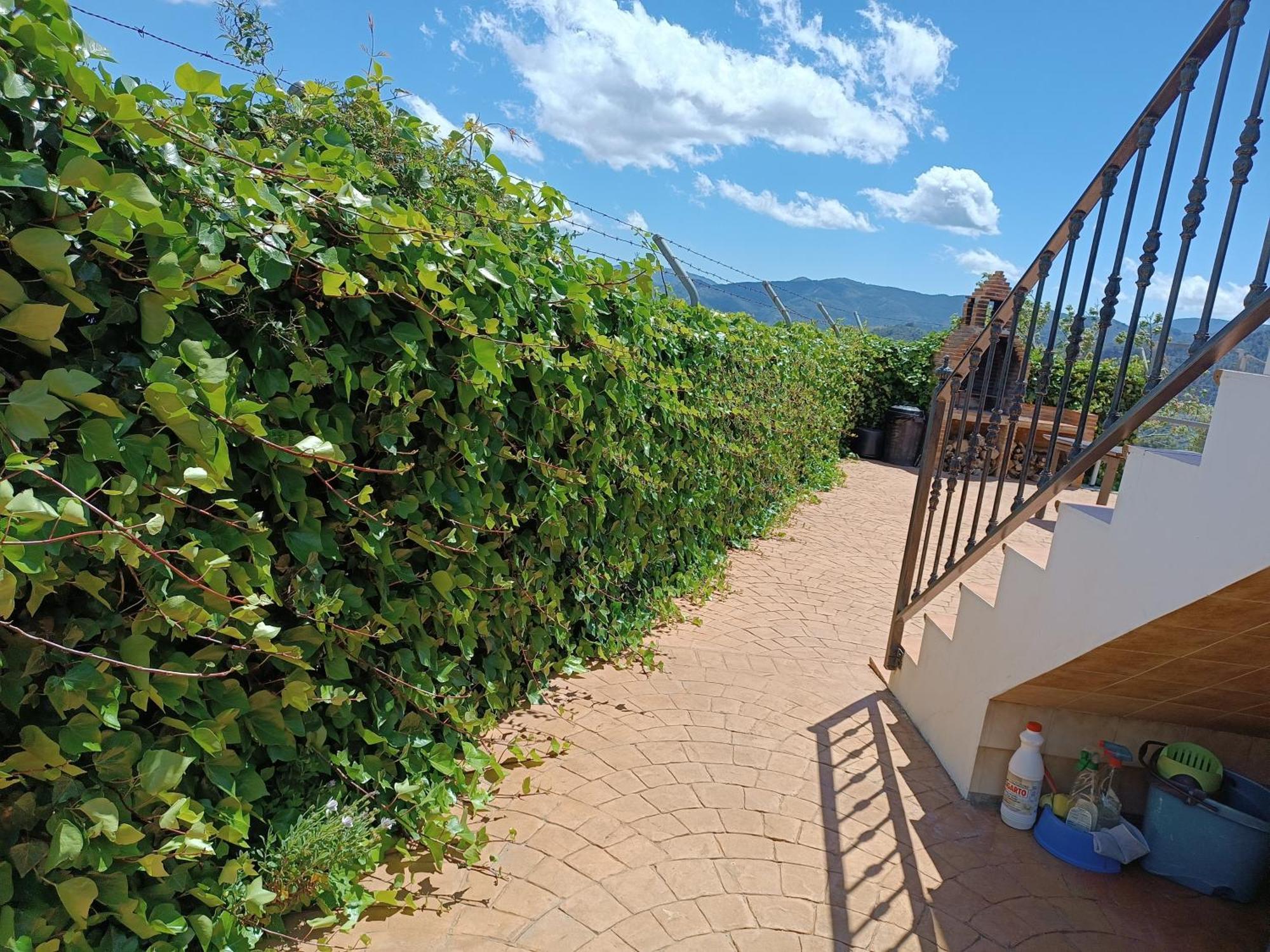 Casa Rural La Revuelta Con Las Mejores Vistas A La Naturaleza Yunquera Eksteriør bilde